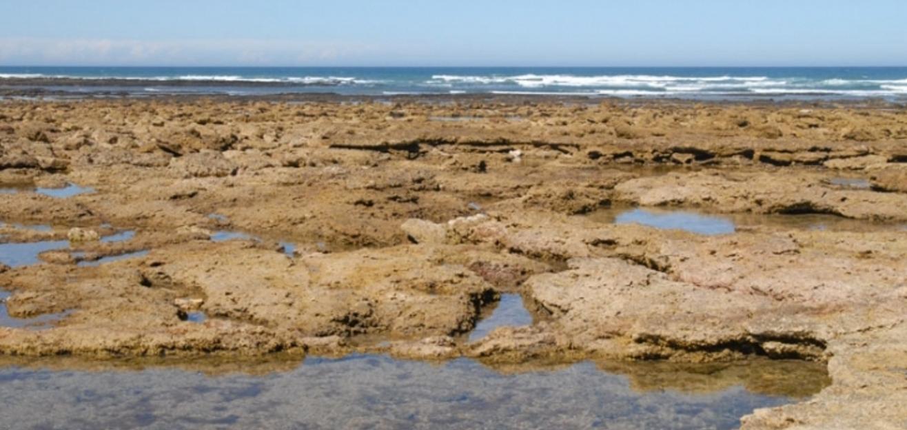 Sandee - Playa Los Suecos