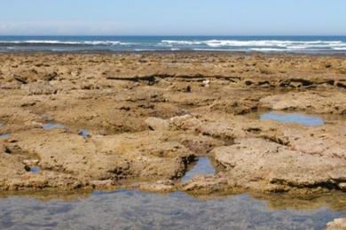 Sandee Playa Los Suecos Photo