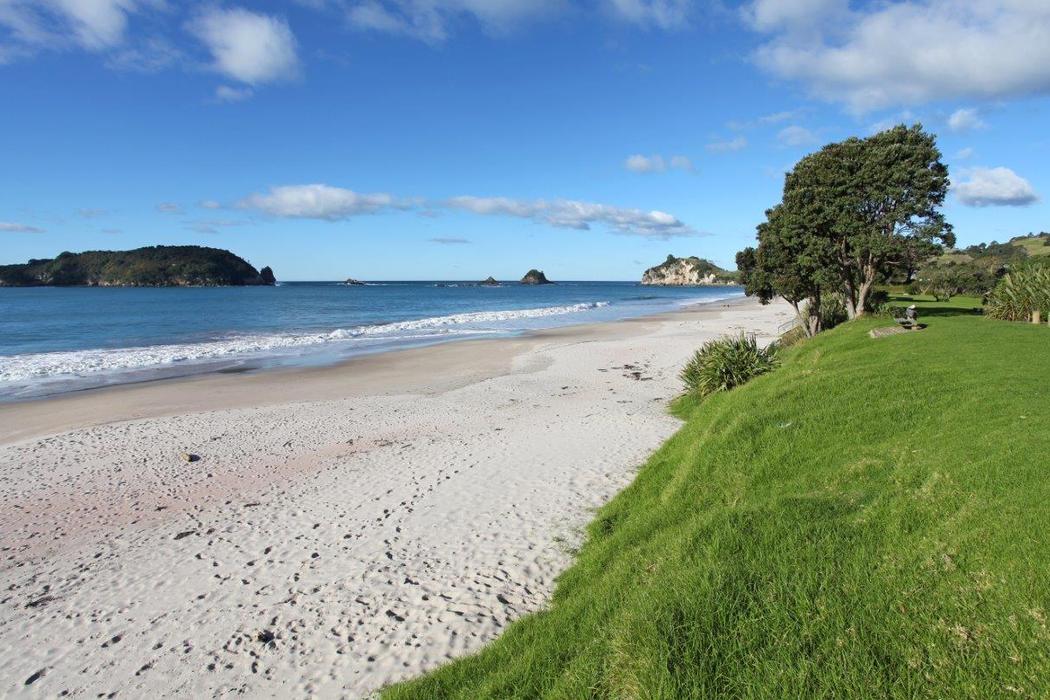 Sandee Hahei Beach