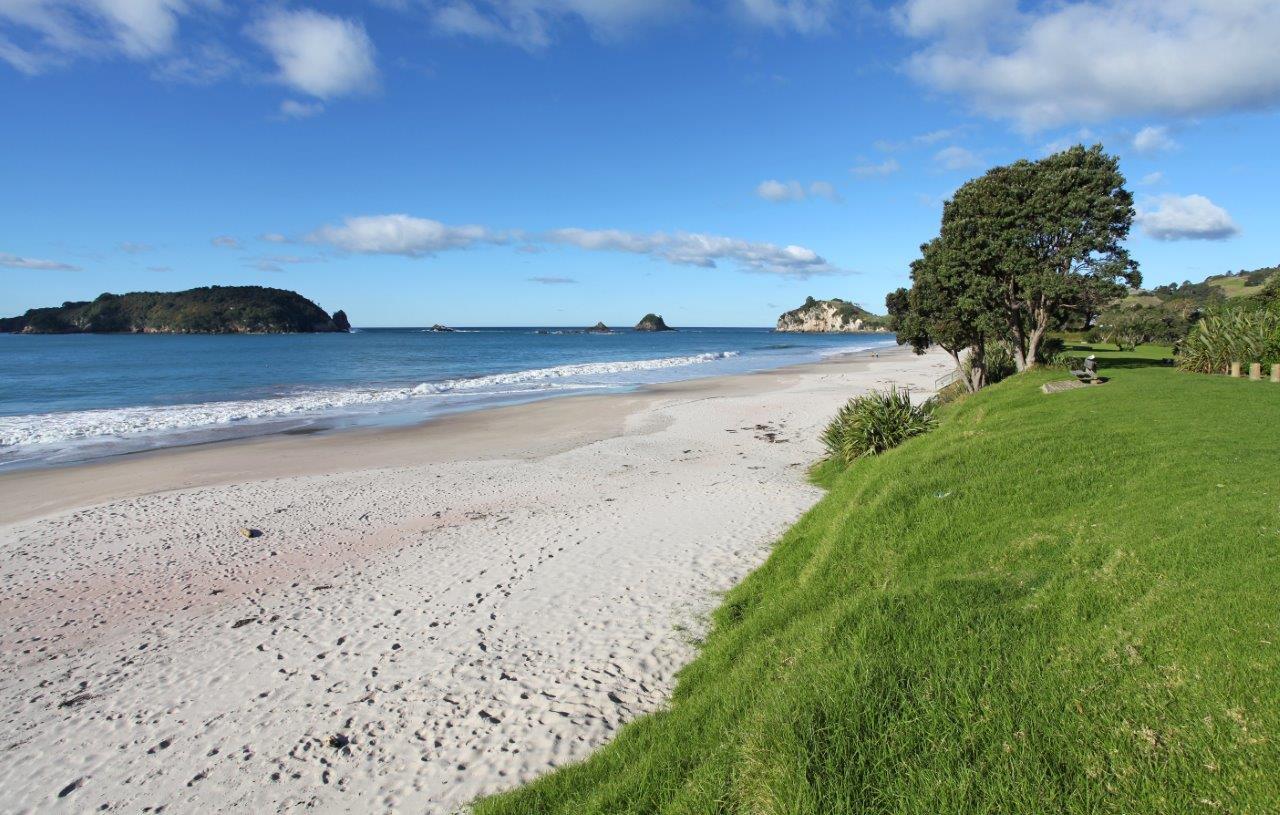 Sandee - Hahei Beach