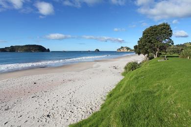 Sandee - Hahei Beach