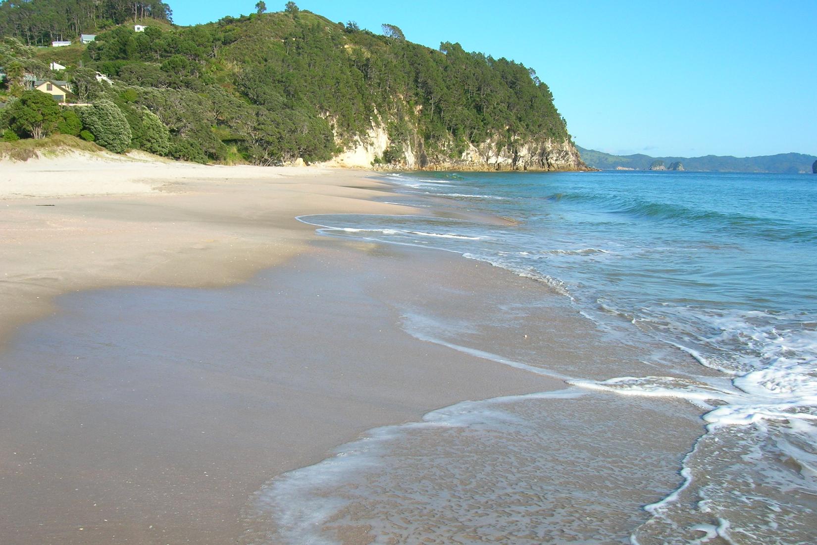 Sandee - Hahei Beach