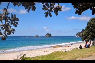 Sandee - Hahei Beach