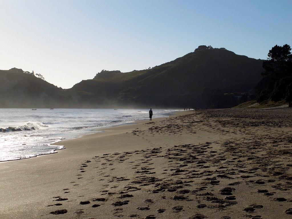 Sandee - Hahei Beach