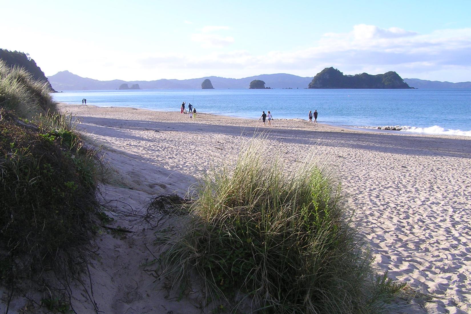 Sandee - Hahei Beach