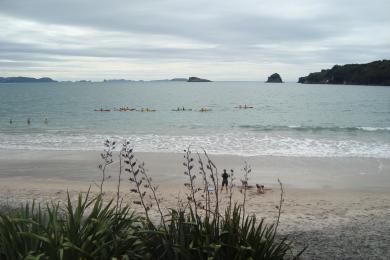 Sandee - Hahei Beach