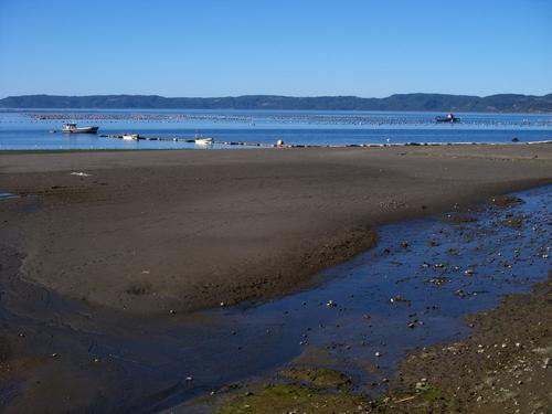 Sandee - Liucura Beach