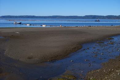 Sandee - Liucura Beach