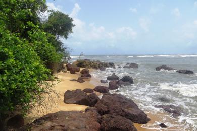 Sandee Cavelossim Beach