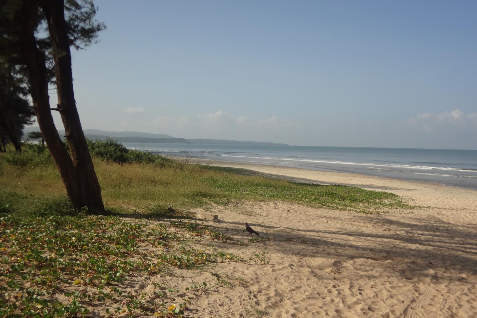 Sandee - Cavelossim Beach