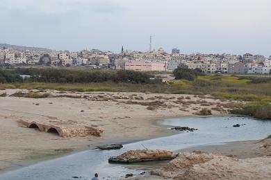 Sandee Jisr Az-Zarqa Beach