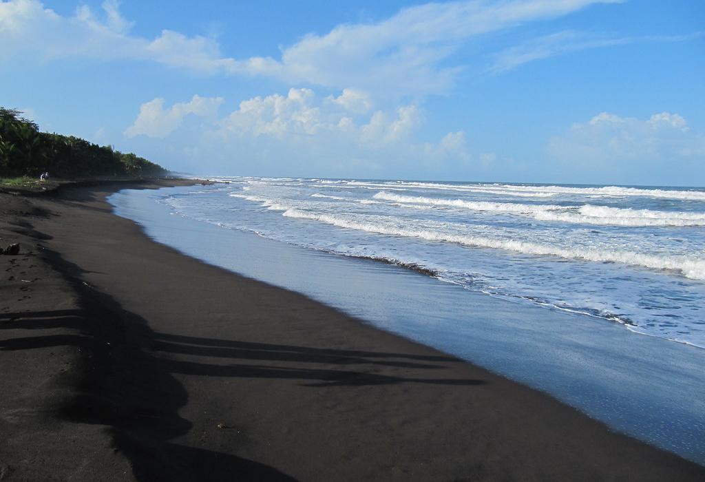 Sandee Playa Tortuguero