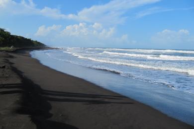 Sandee Playa Tortuguero