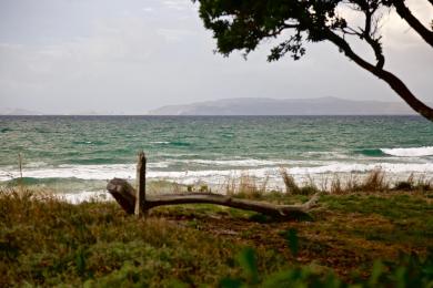 Sandee Matarangi Beach Photo