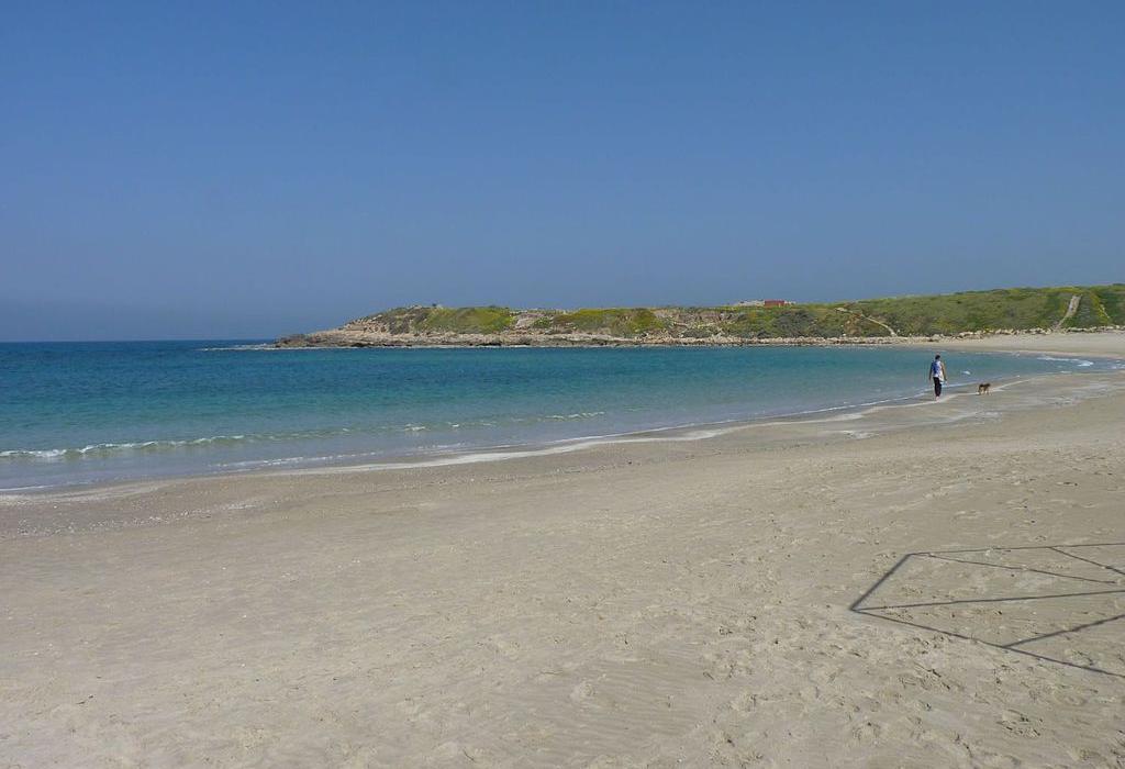 Sandee Nahsholim Beach