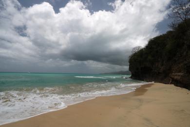 Sandee St. Georges University Beach Photo