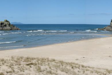 Sandee Opoutere Beach