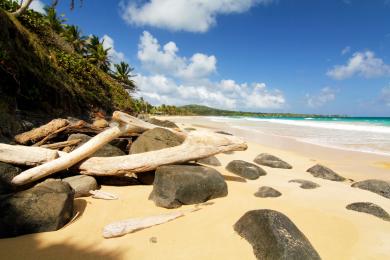 Sandee Long Bay Beach