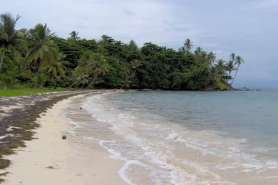 Sandee - Cocal Beach