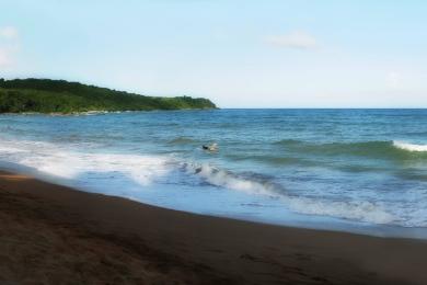 Sandee Cocal Beach