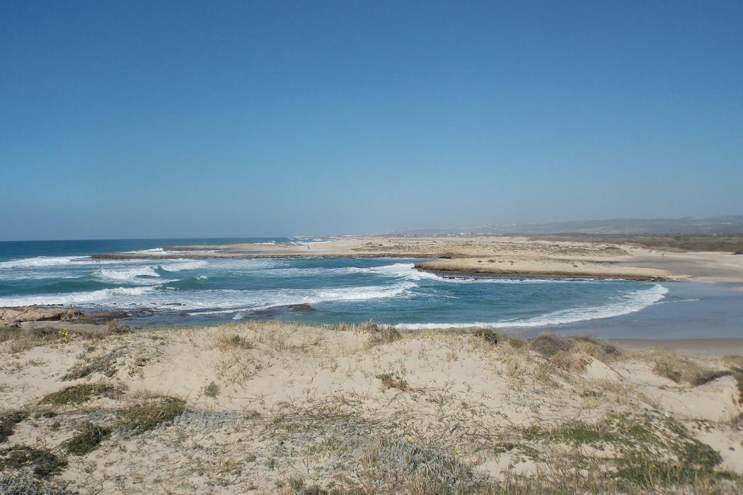 Sandee Habonim Beach