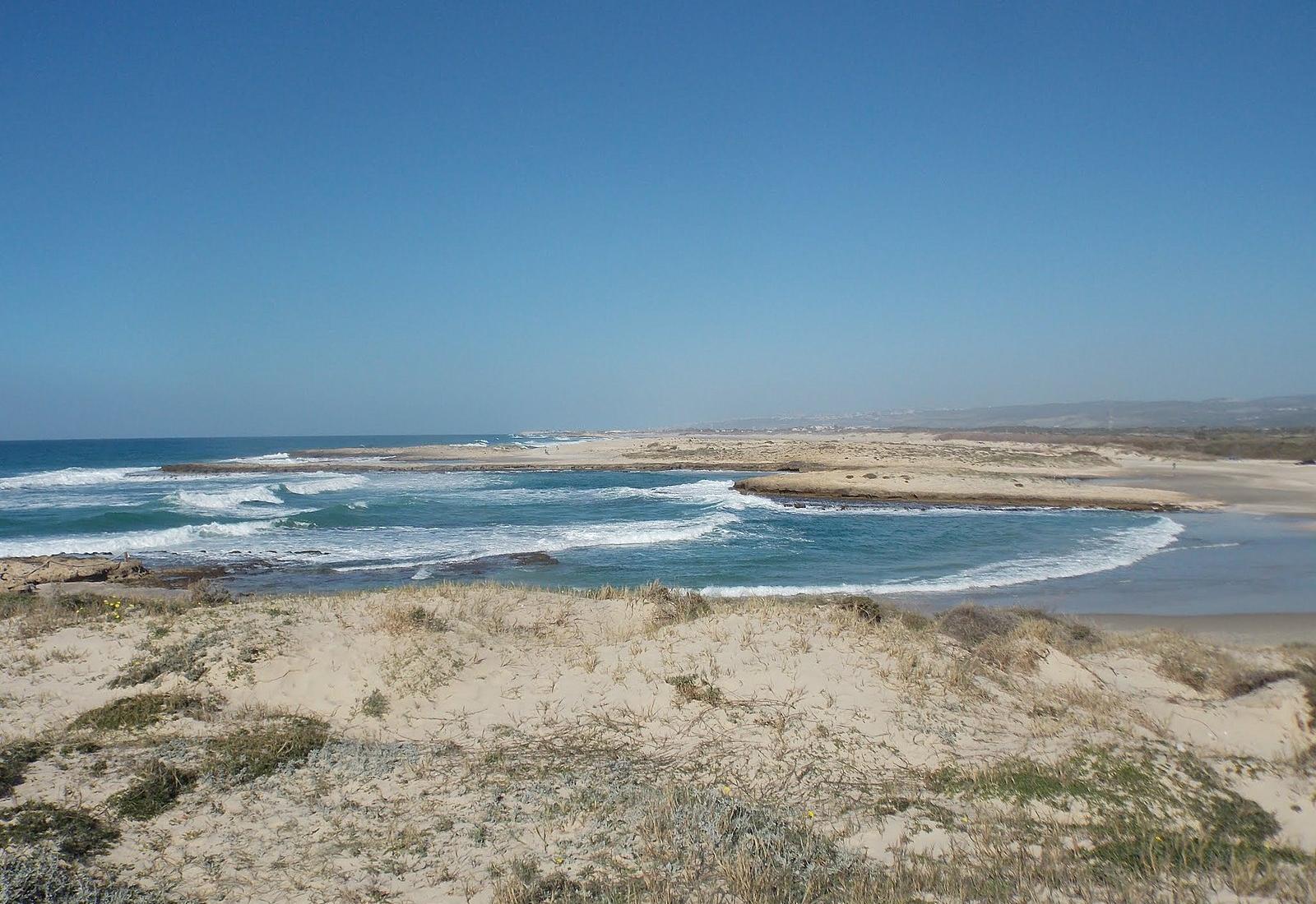 Sandee - Habonim Beach