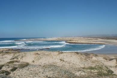 Sandee Habonim Beach Photo