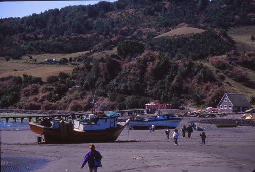 Sandee - Matao Beach