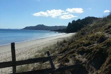 Sandee Rings Beach