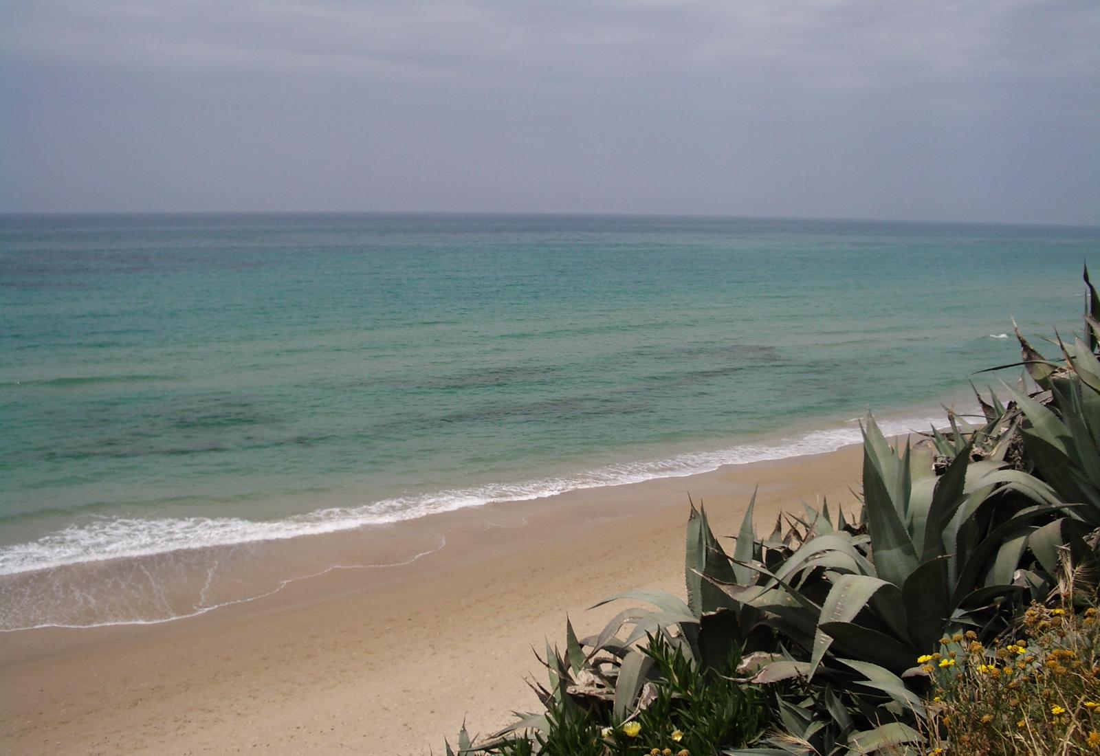 Sandee - Tirat Carmel Beach