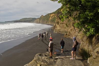 Sandee Waikawau Beach Photo