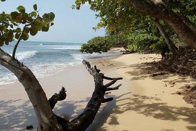 Sandee Gun Point Beach Photo