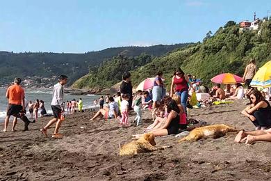 Sandee Grande Beach