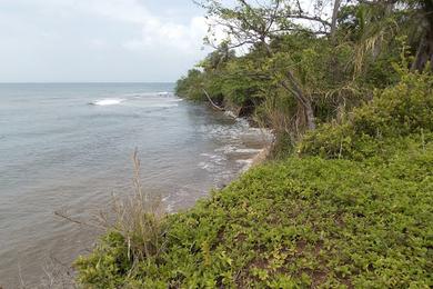 Sandee Water Whole Beach