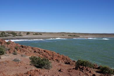 Sandee Punta Tombo Photo