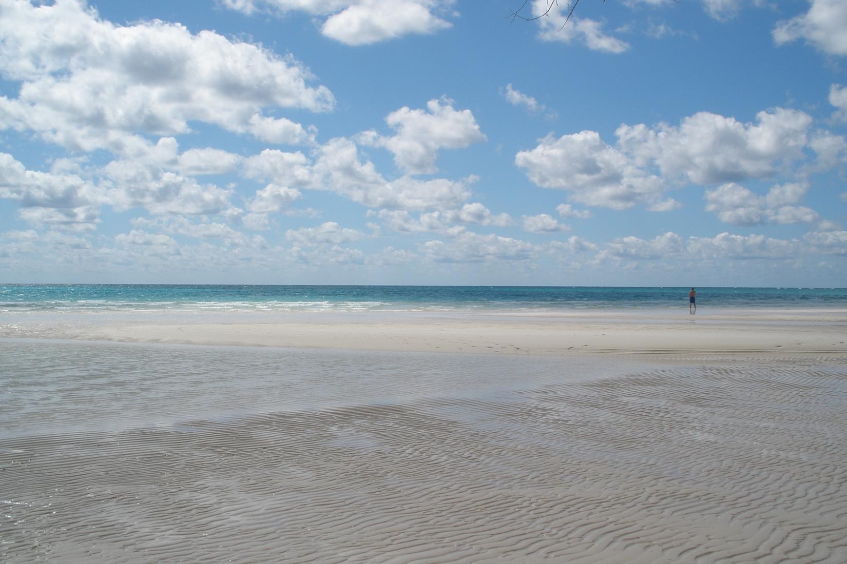 Sandee - Ocean Beach