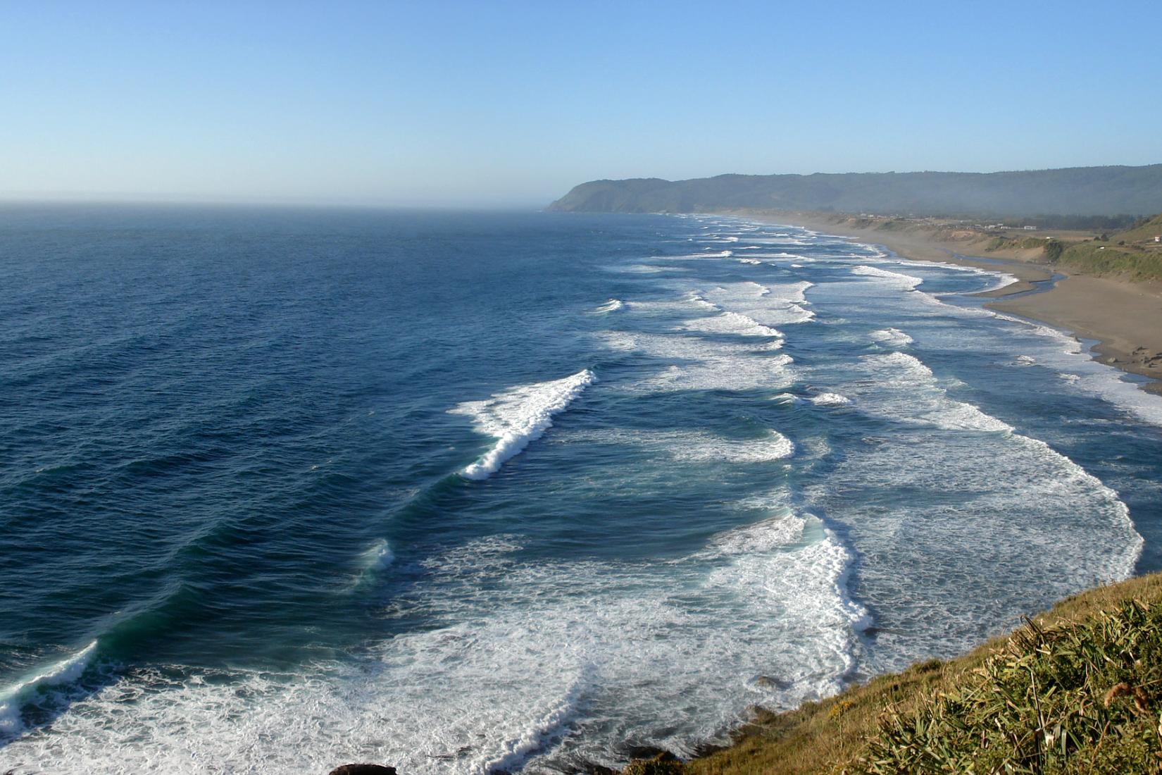 Sandee - Curinanco Beach