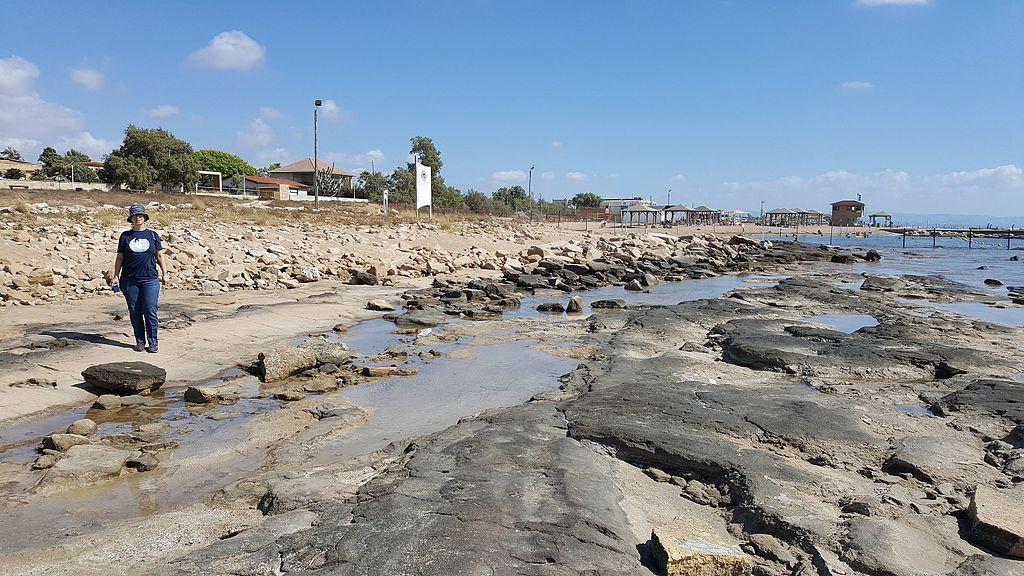 Sandee - Shavei Tzion Beach