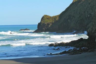 Sandee - Ruapuke Beach