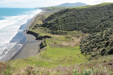 Sandee - Ruapuke Beach