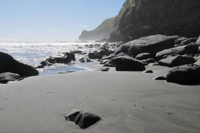 Sandee - Ruapuke Beach