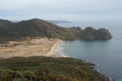 Sandee Isla Nueva Beach