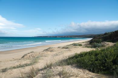 Sandee Guvvos Beach