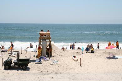 Sandee Forrest Beach