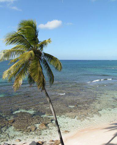 Sandee - George's Cay