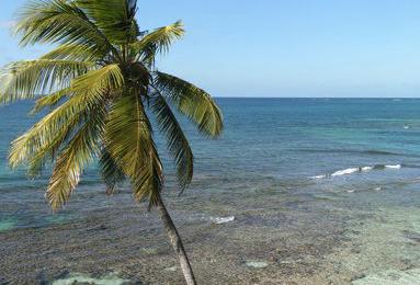 Sandee George's Cay