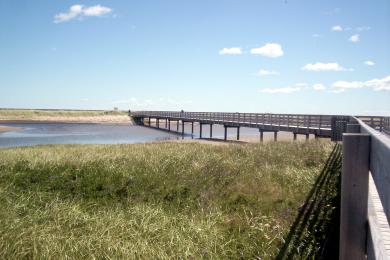 Sandee Kellys Beach Photo