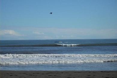 Sandee Los Pellines Beach