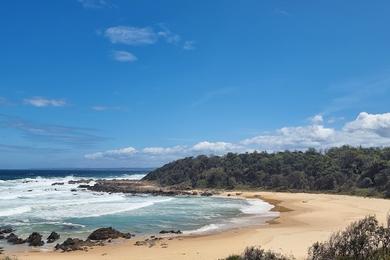 Sandee Aalumavu Beach Photo