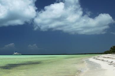 Sandee Playa De Caleton Blanco Photo